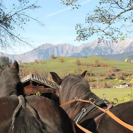 Oberdeutinghof Apartment Saalfelden Luaran gambar