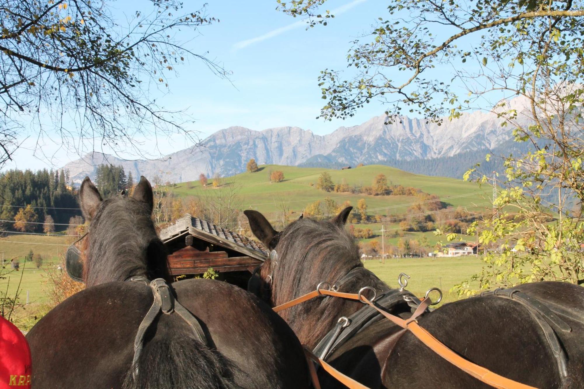 Oberdeutinghof Apartment Saalfelden Luaran gambar
